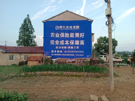  郎溪墙体广告的优劣势你知道吗？